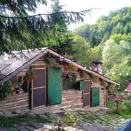 Apartmán Zimska Idila Crni Vrh Exteriér fotografie
